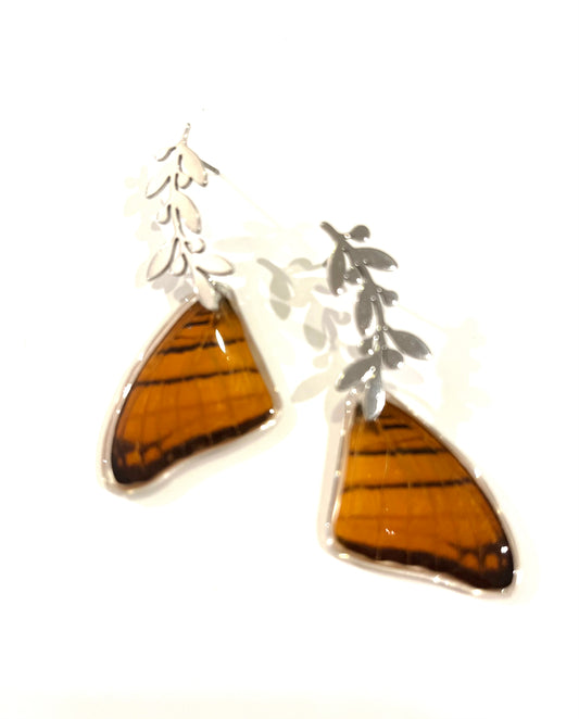 Medium Butterfly earrings15
