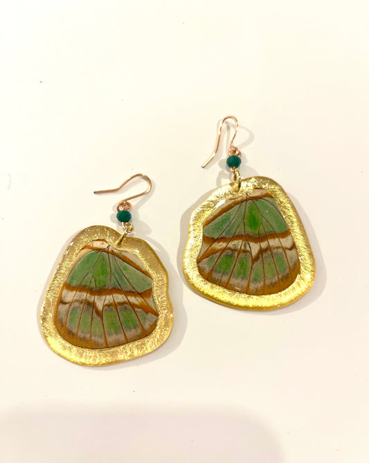 Medium Butterfly earrings10