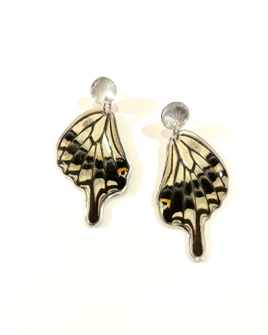 Medium Butterfly earring02