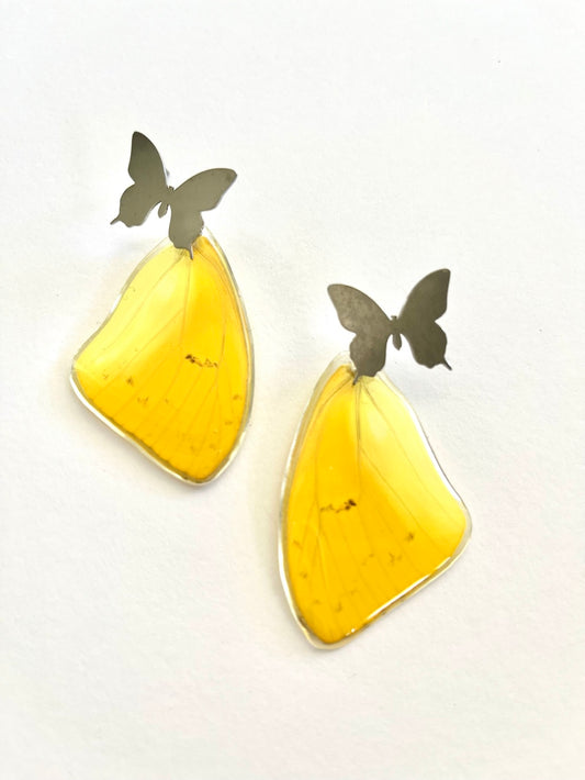Medium Butterfly earrings16
