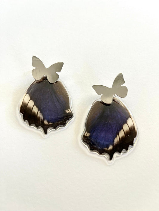 Medium butterfly earrings13