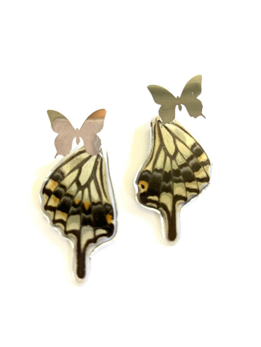 Medium butterfly earrings11