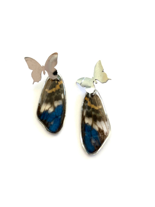 Medium Butterfly earrings 10