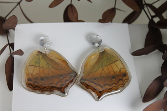 Medium Butterfly earrings15 - Blossom